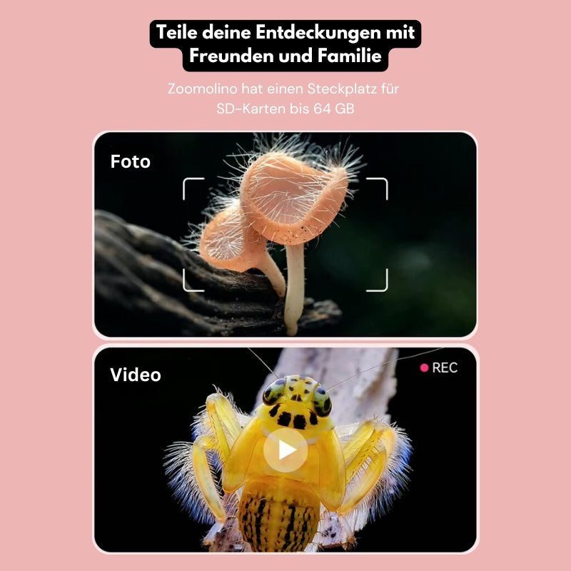 Zoomolino - kinderleicht forschen