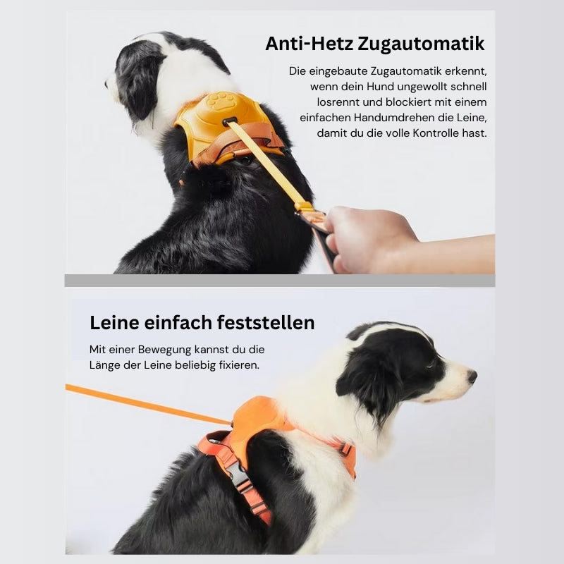 FlexiLeash™ – sicher und einfach führen