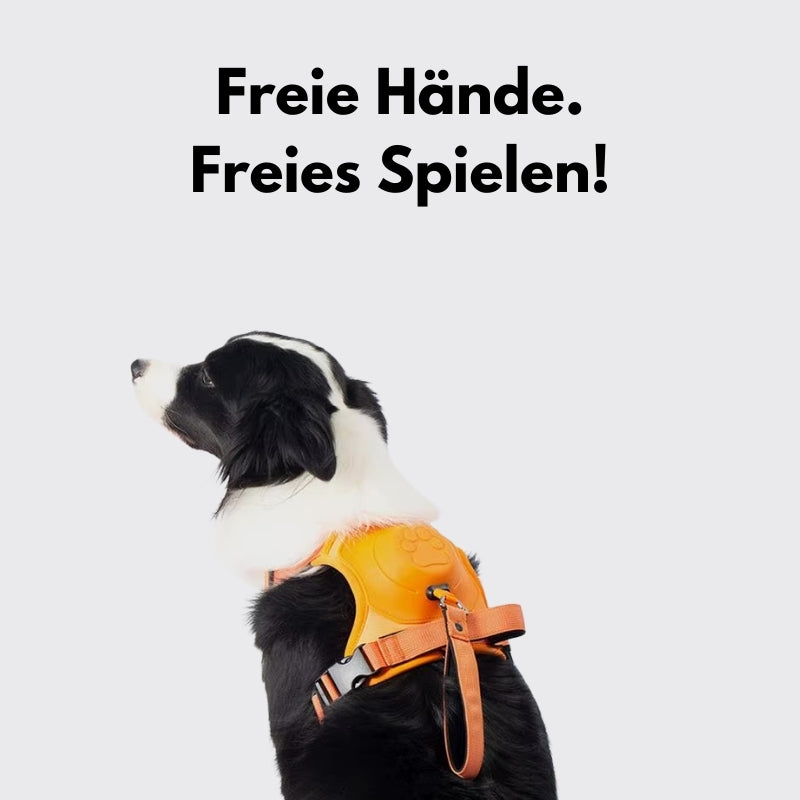 FlexiLeash™ – sicher und einfach führen