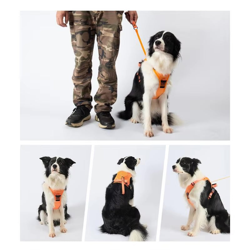 FlexiLeash™ – sicher und einfach führen