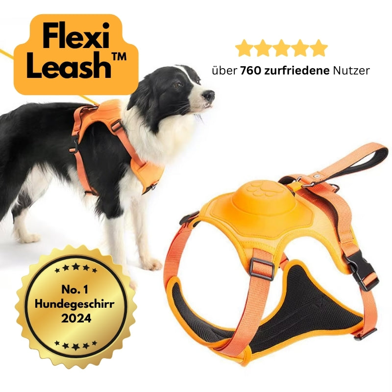 FlexiLeash™ – sicher und einfach führen